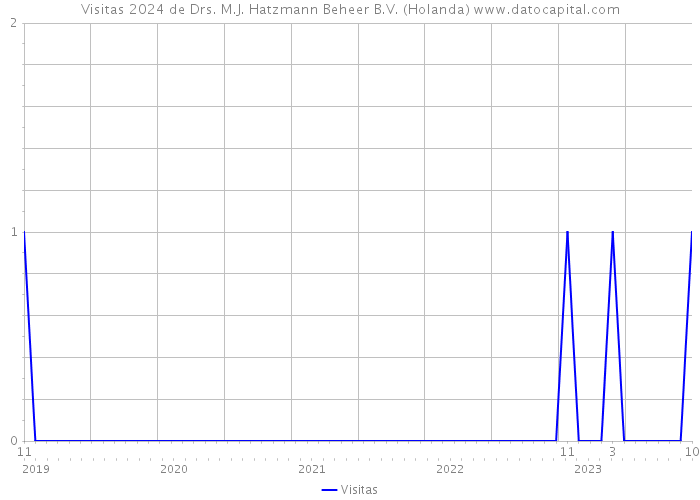 Visitas 2024 de Drs. M.J. Hatzmann Beheer B.V. (Holanda) 