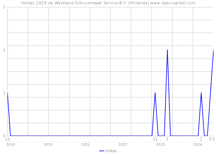 Visitas 2024 de Westland Schoonmaak Service B.V. (Holanda) 