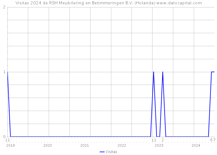 Visitas 2024 de RSH Meubilering en Betimmeringen B.V. (Holanda) 