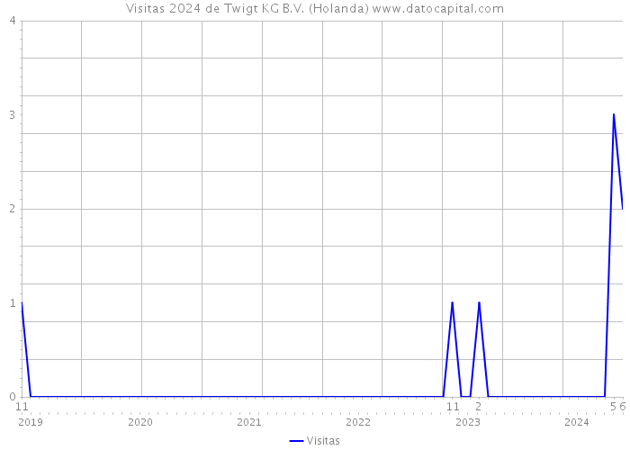 Visitas 2024 de Twigt KG B.V. (Holanda) 