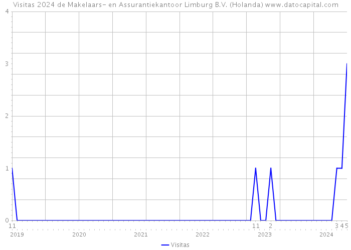 Visitas 2024 de Makelaars- en Assurantiekantoor Limburg B.V. (Holanda) 