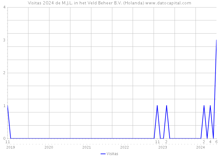 Visitas 2024 de M.J.L. in het Veld Beheer B.V. (Holanda) 