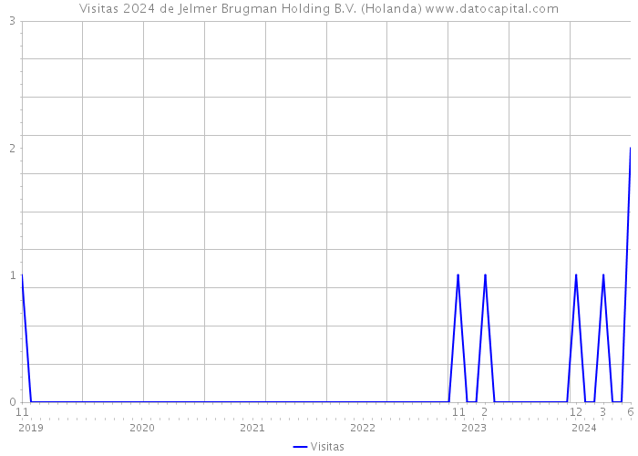 Visitas 2024 de Jelmer Brugman Holding B.V. (Holanda) 