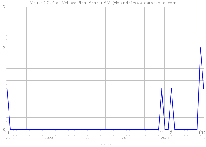 Visitas 2024 de Veluwe Plant Beheer B.V. (Holanda) 