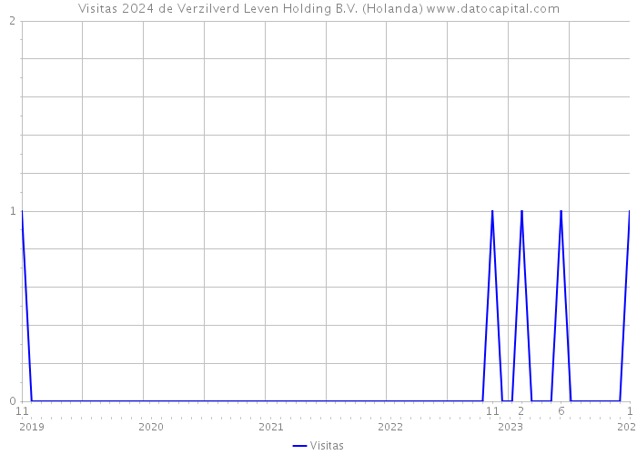 Visitas 2024 de Verzilverd Leven Holding B.V. (Holanda) 