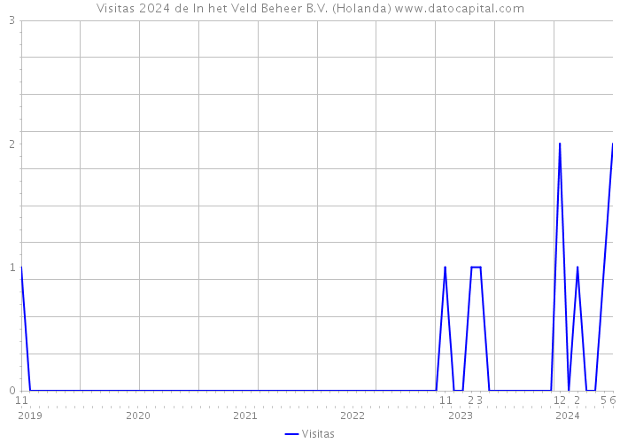 Visitas 2024 de In het Veld Beheer B.V. (Holanda) 