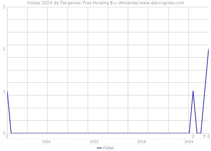Visitas 2024 de Tangerine Tree Holding B.v. (Holanda) 
