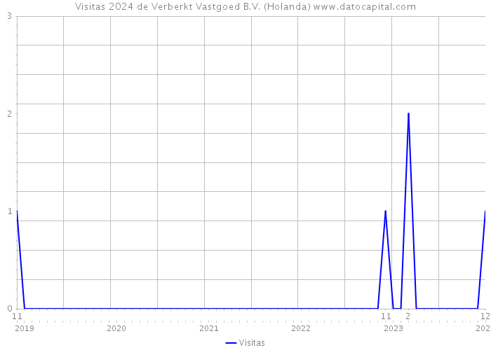 Visitas 2024 de Verberkt Vastgoed B.V. (Holanda) 