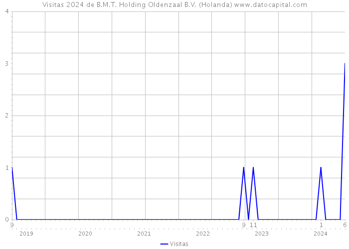 Visitas 2024 de B.M.T. Holding Oldenzaal B.V. (Holanda) 