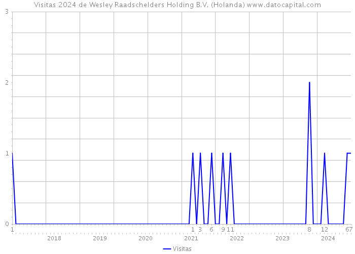 Visitas 2024 de Wesley Raadschelders Holding B.V. (Holanda) 