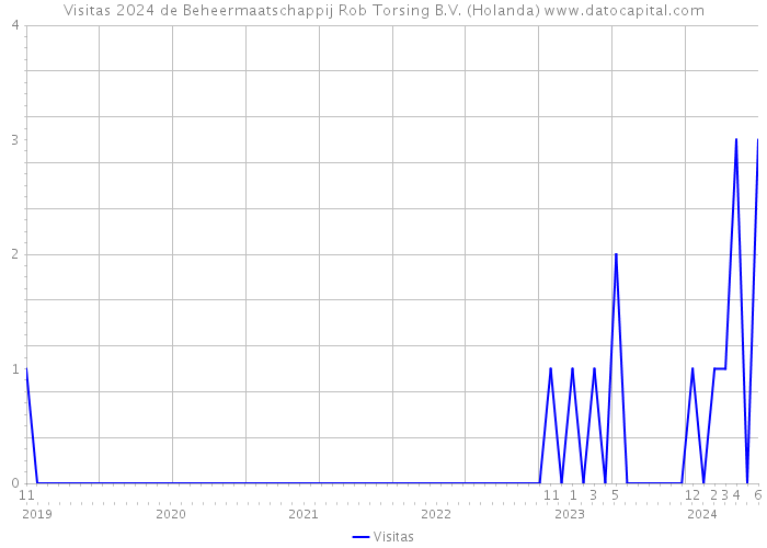 Visitas 2024 de Beheermaatschappij Rob Torsing B.V. (Holanda) 