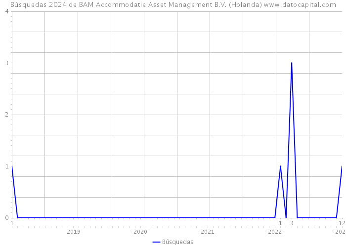 Búsquedas 2024 de BAM Accommodatie Asset Management B.V. (Holanda) 