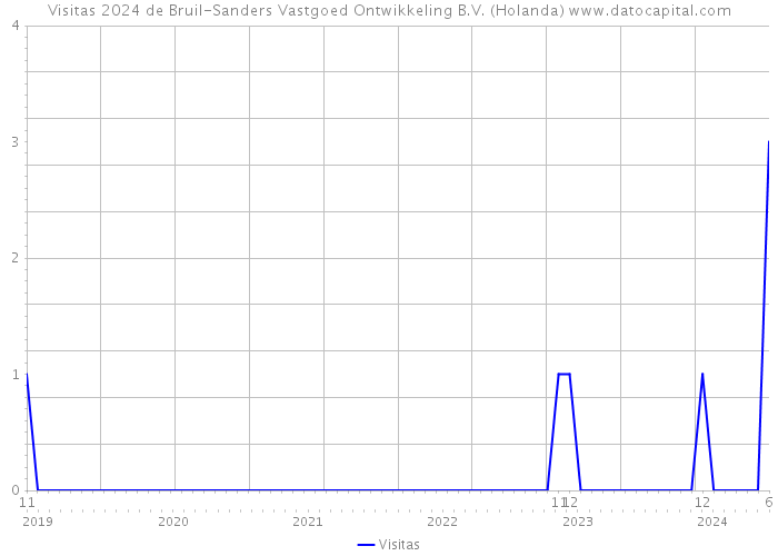 Visitas 2024 de Bruil-Sanders Vastgoed Ontwikkeling B.V. (Holanda) 