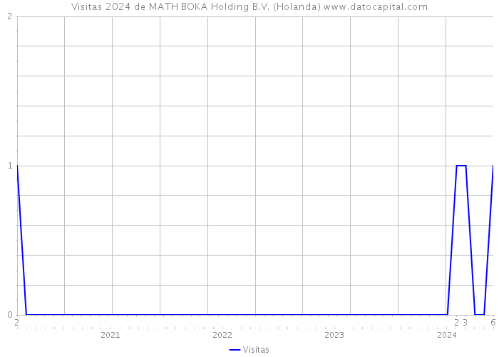 Visitas 2024 de MATH BOKA Holding B.V. (Holanda) 