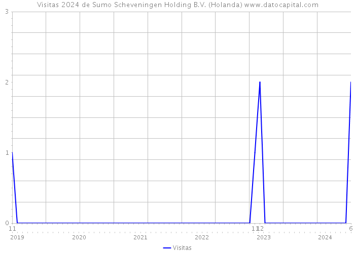 Visitas 2024 de Sumo Scheveningen Holding B.V. (Holanda) 