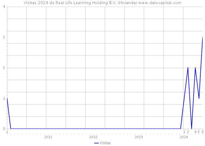 Visitas 2024 de Real Life Learning Holding B.V. (Holanda) 