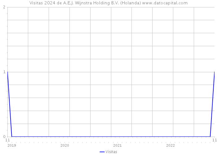 Visitas 2024 de A.E.J. Wijnstra Holding B.V. (Holanda) 