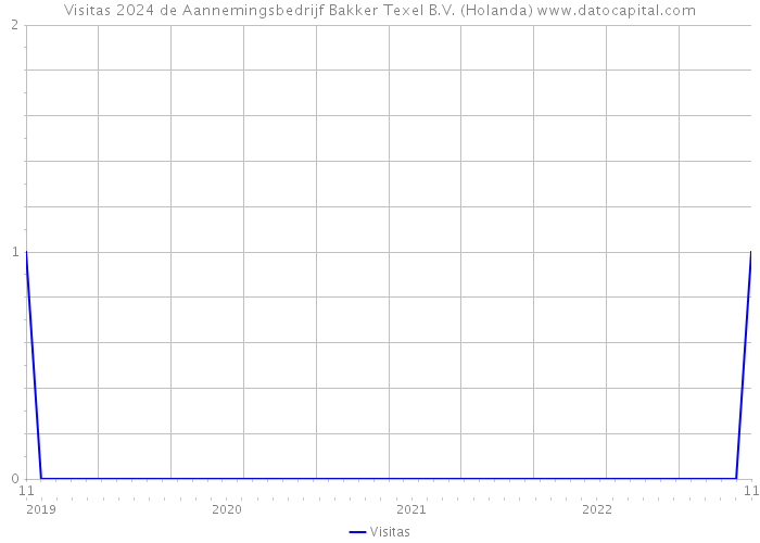 Visitas 2024 de Aannemingsbedrijf Bakker Texel B.V. (Holanda) 