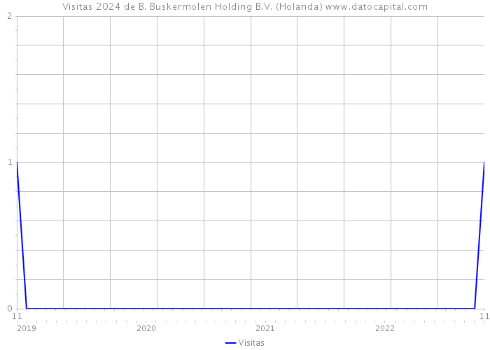 Visitas 2024 de B. Buskermolen Holding B.V. (Holanda) 