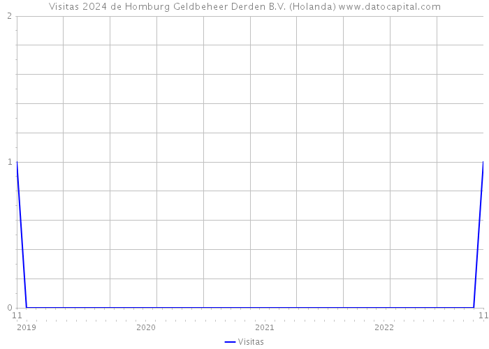 Visitas 2024 de Homburg Geldbeheer Derden B.V. (Holanda) 