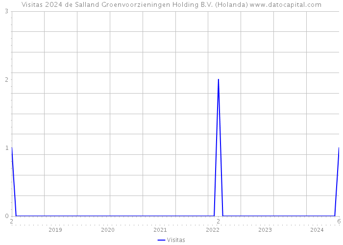 Visitas 2024 de Salland Groenvoorzieningen Holding B.V. (Holanda) 