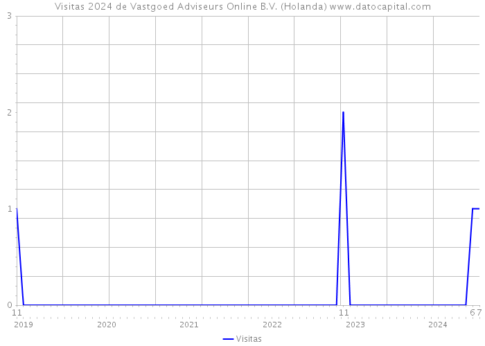 Visitas 2024 de Vastgoed Adviseurs Online B.V. (Holanda) 