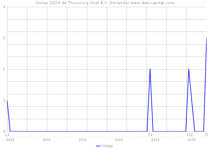 Visitas 2024 de Thuiszorg Oost B.V. (Holanda) 