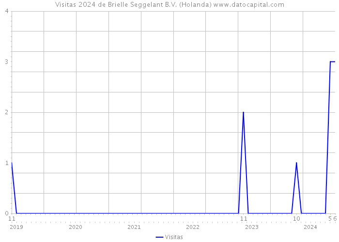 Visitas 2024 de Brielle Seggelant B.V. (Holanda) 