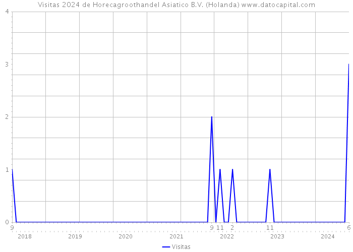 Visitas 2024 de Horecagroothandel Asiatico B.V. (Holanda) 