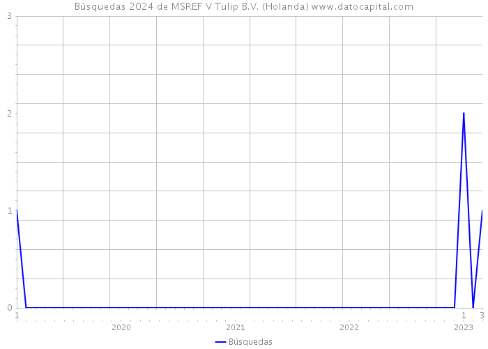 Búsquedas 2024 de MSREF V Tulip B.V. (Holanda) 