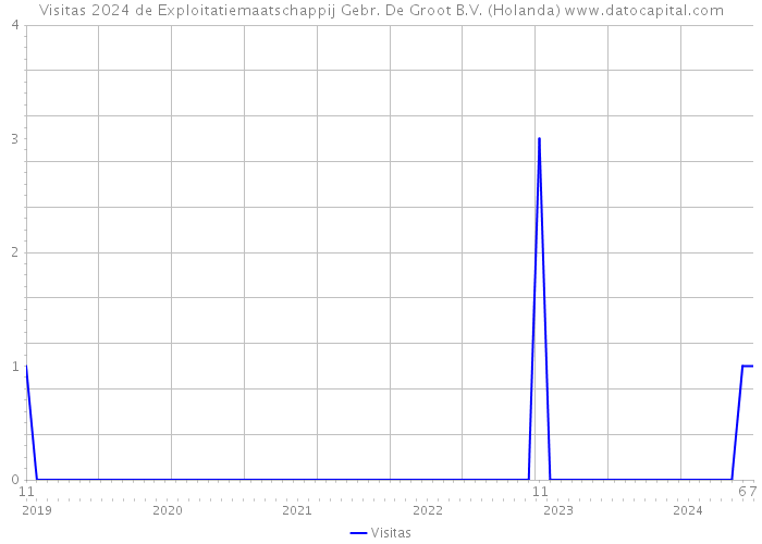 Visitas 2024 de Exploitatiemaatschappij Gebr. De Groot B.V. (Holanda) 