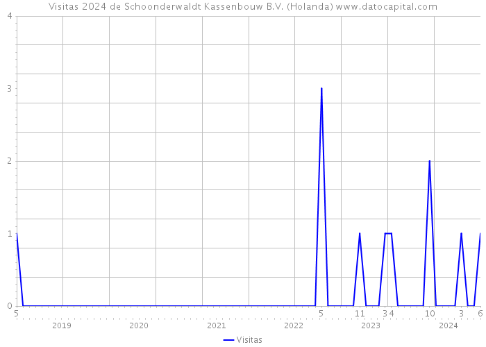 Visitas 2024 de Schoonderwaldt Kassenbouw B.V. (Holanda) 