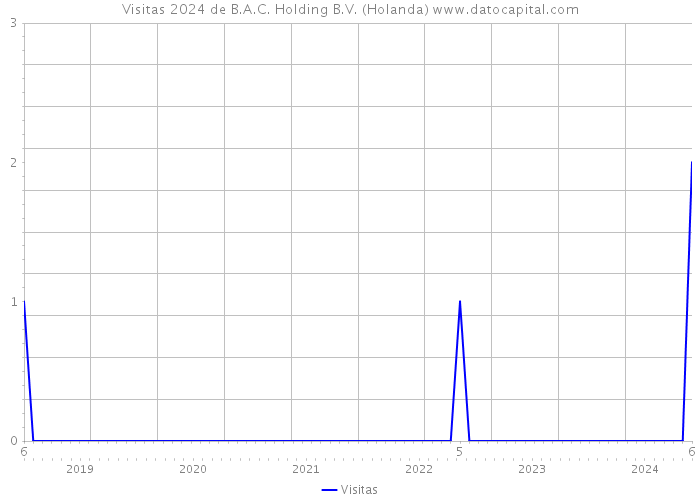 Visitas 2024 de B.A.C. Holding B.V. (Holanda) 