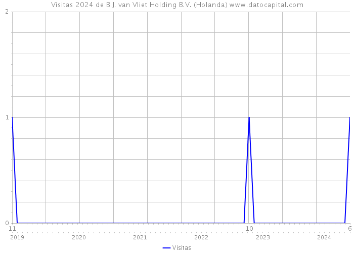 Visitas 2024 de B.J. van Vliet Holding B.V. (Holanda) 