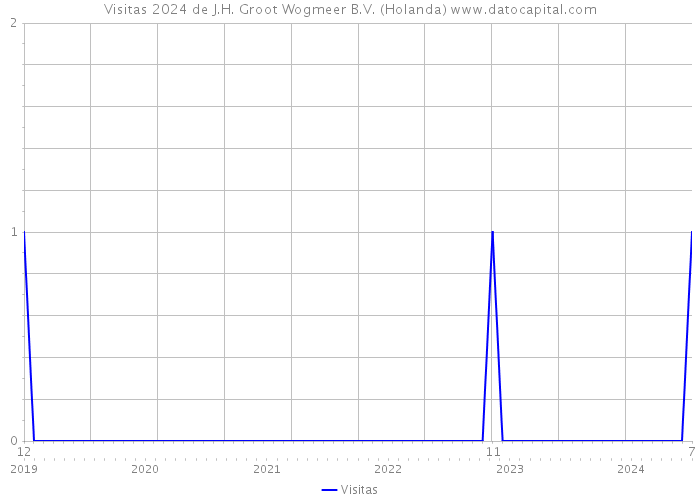 Visitas 2024 de J.H. Groot Wogmeer B.V. (Holanda) 