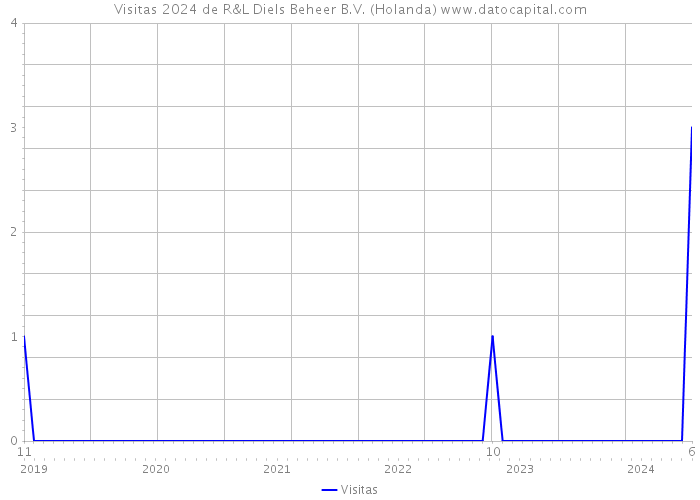 Visitas 2024 de R&L Diels Beheer B.V. (Holanda) 