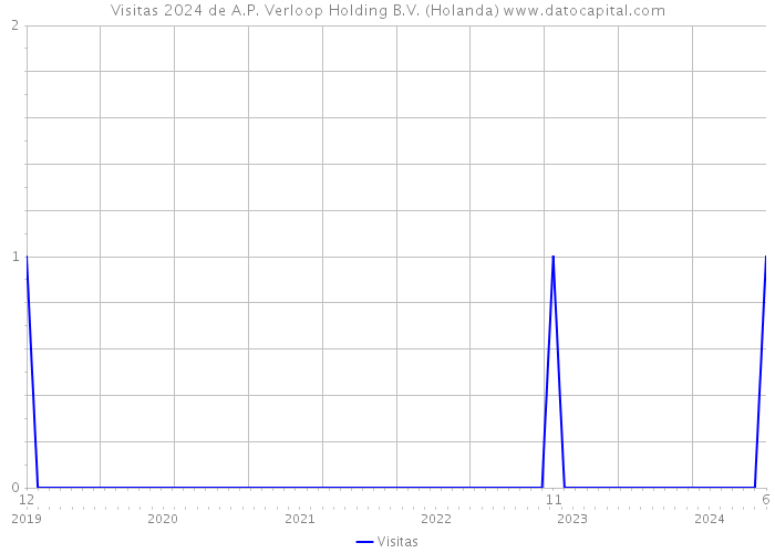 Visitas 2024 de A.P. Verloop Holding B.V. (Holanda) 