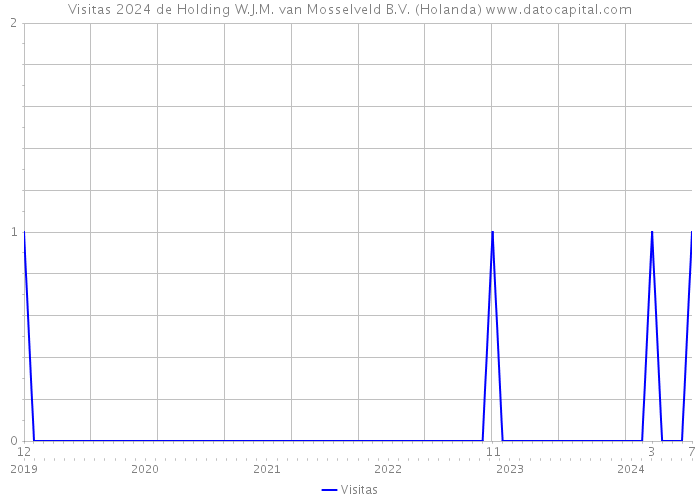 Visitas 2024 de Holding W.J.M. van Mosselveld B.V. (Holanda) 