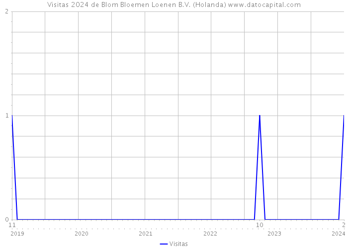 Visitas 2024 de Blom Bloemen Loenen B.V. (Holanda) 