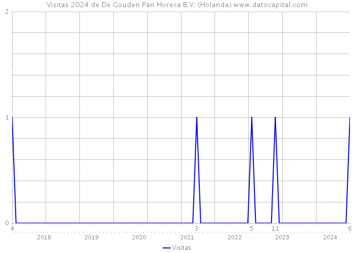 Visitas 2024 de De Gouden Pan Horeca B.V. (Holanda) 