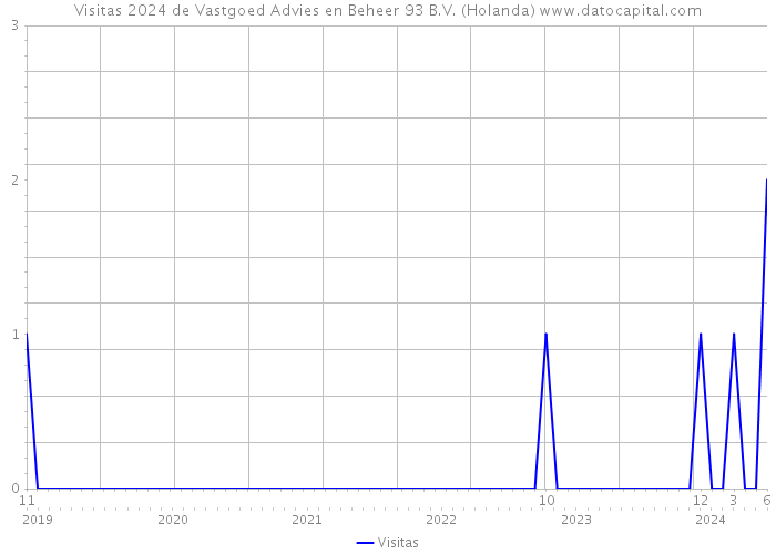 Visitas 2024 de Vastgoed Advies en Beheer 93 B.V. (Holanda) 