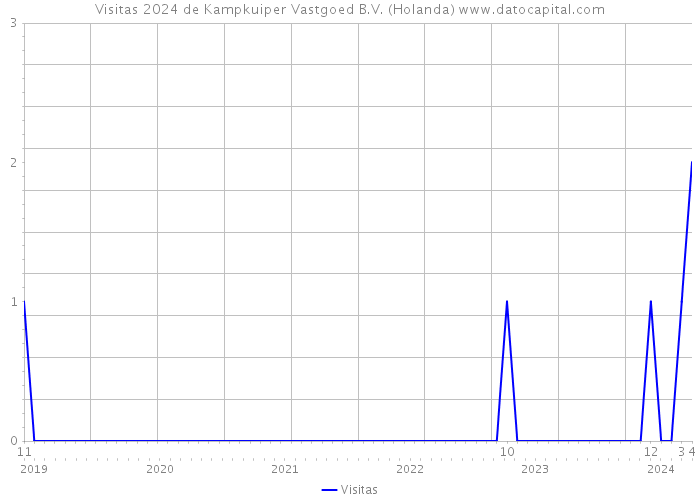 Visitas 2024 de Kampkuiper Vastgoed B.V. (Holanda) 