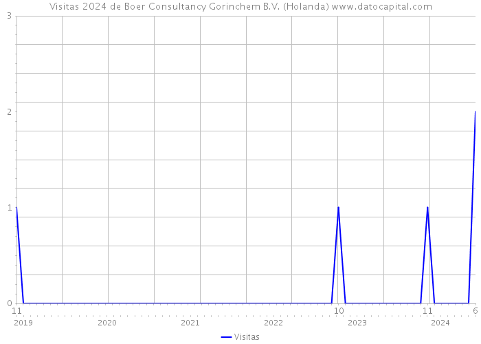 Visitas 2024 de Boer Consultancy Gorinchem B.V. (Holanda) 