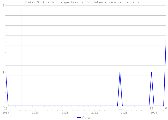 Visitas 2024 de Grimbergen Praktijk B.V. (Holanda) 