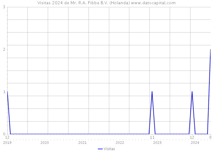 Visitas 2024 de Mr. R.A. Fibbe B.V. (Holanda) 