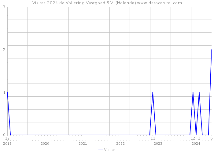 Visitas 2024 de Vollering Vastgoed B.V. (Holanda) 