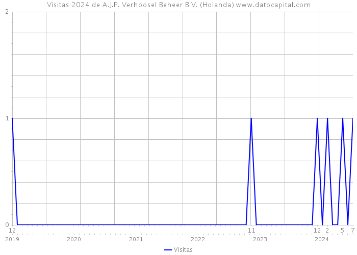 Visitas 2024 de A.J.P. Verhoosel Beheer B.V. (Holanda) 