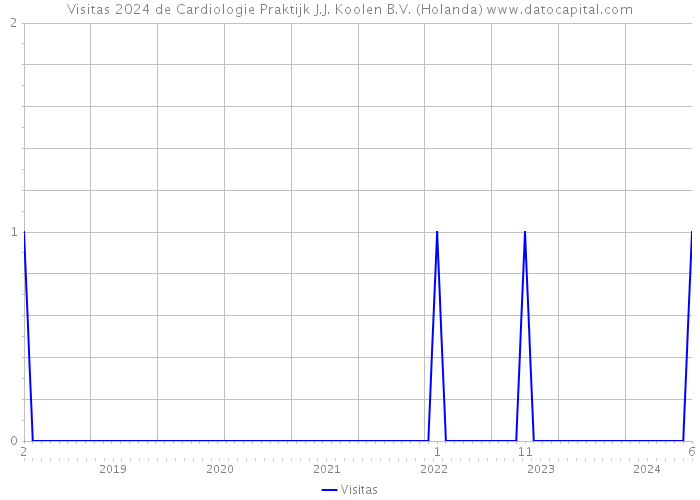 Visitas 2024 de Cardiologie Praktijk J.J. Koolen B.V. (Holanda) 