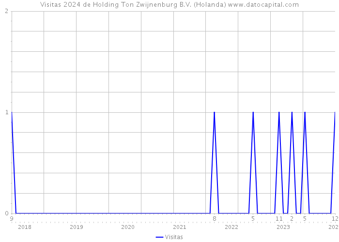 Visitas 2024 de Holding Ton Zwijnenburg B.V. (Holanda) 