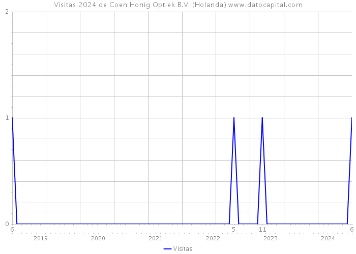 Visitas 2024 de Coen Honig Optiek B.V. (Holanda) 